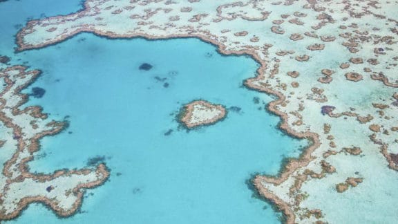 cairns great barrier reef - heart reef