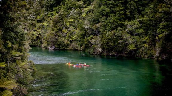 abel tasman national park