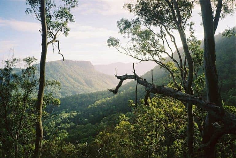 lamington national park