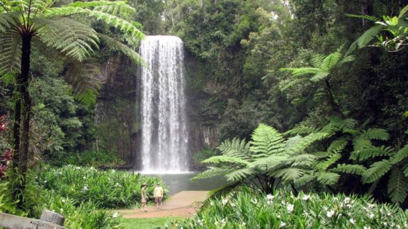 what to do in cairns millaa millaa falls atherton tablelands
