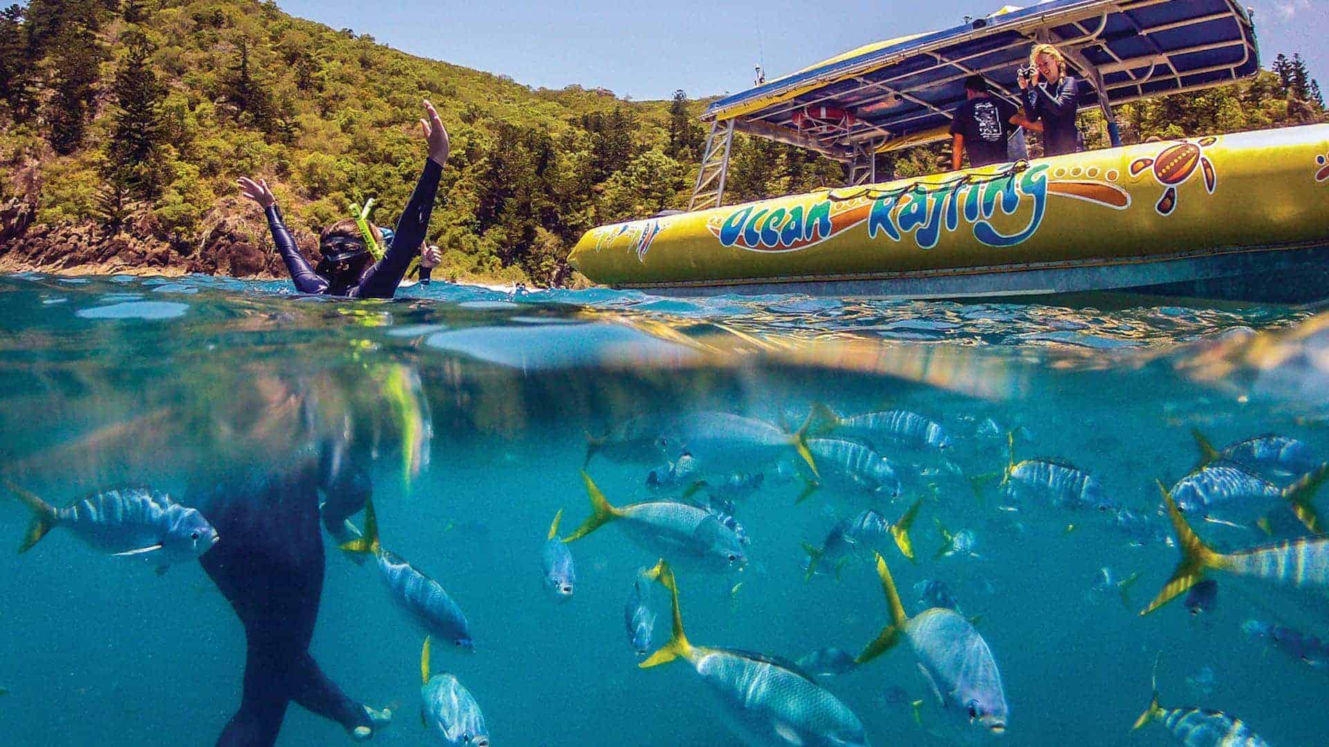 Ocean Raftng Ocean Rafting Airlie Beach | Snorkelling & Fun on a day trip
