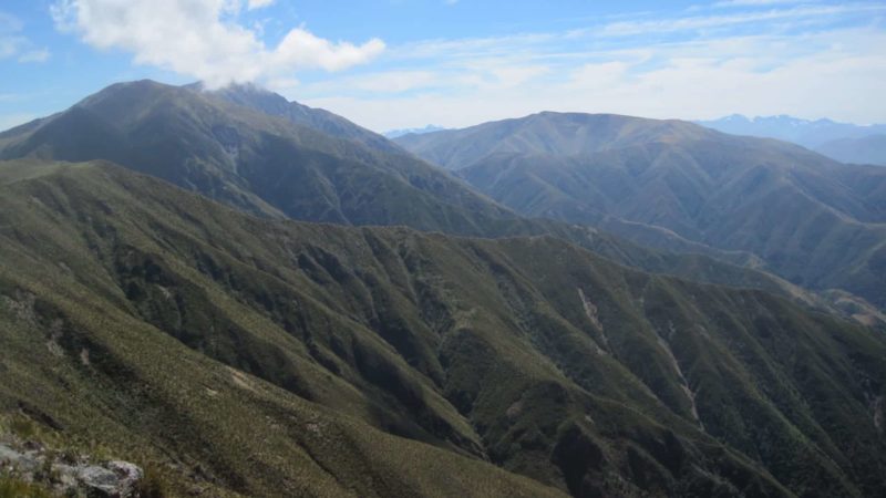 mt peel from peel forest