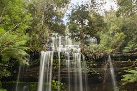walking in tasmania, mount field national park