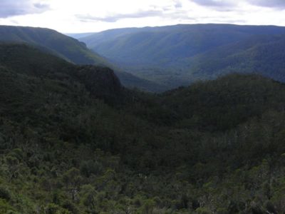 forth valley lookout