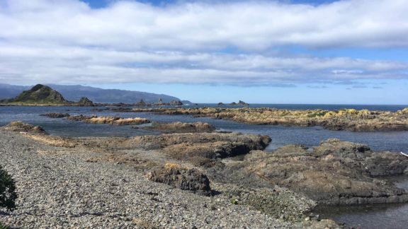 walks around wellington