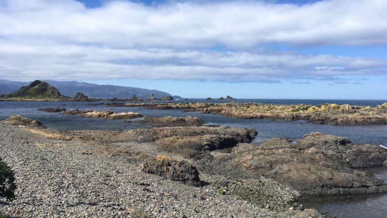 walks around wellington