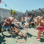 activities at st kilda backpackers