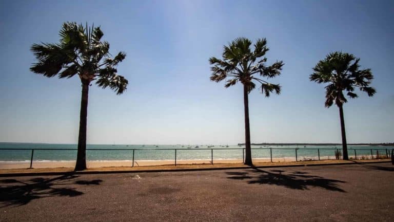 darwin attractions